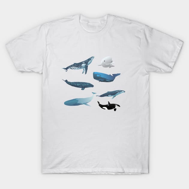 Various Whales T-Shirt by NorseTech